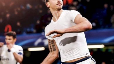 ibra1.jpg