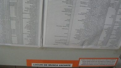 locuridemunca_3.jpg