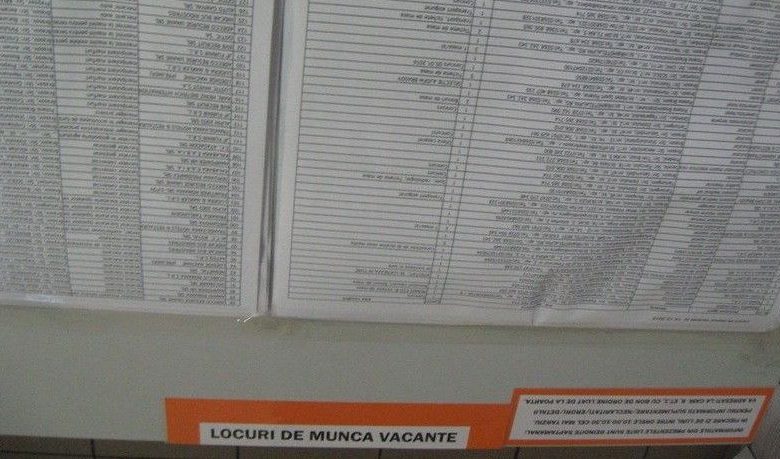 locuridemunca_3.jpg