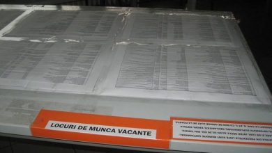 locuridemuncamar.jpg