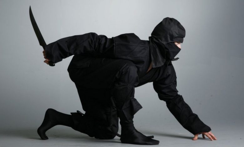 ninja.jpg