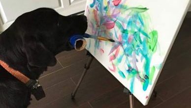 painting-dog-vinci-yvonne-dagger-7_207984.jpg