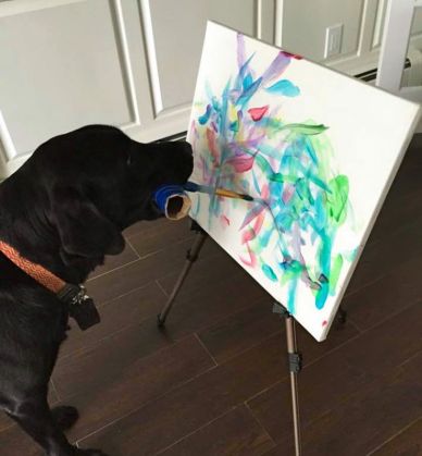 Tablouri pictate de un câine, vândute în scopuri caritabile 1 painting-dog-vinci-yvonne-dagger-7_207984.jpg