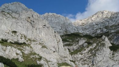 piatra-craiului-creasta-de-mijloc.jpg