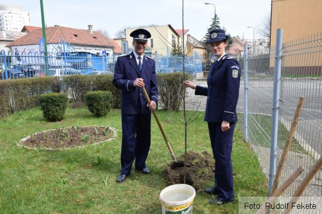 plantare pomi politie 01_207734.JPG