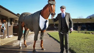 three-piece-tweed-horse-suit-emma-sandham-king-4_207338.jpg