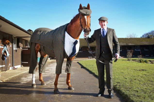 Cel mai elegant cal din lume poartă un costum de tweed! Nu e banc! 1 three-piece-tweed-horse-suit-emma-sandham-king-4_207338.jpg
