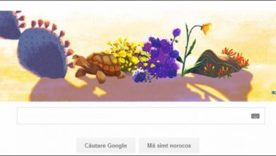 Google Doodle Ziua Pamantului_210233.JPG