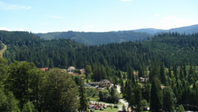 adrcentru1_209025.jpg