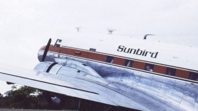 avionsunbird.jpg