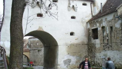 bastionulgraft.jpg