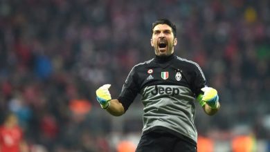 buffon_2.jpg