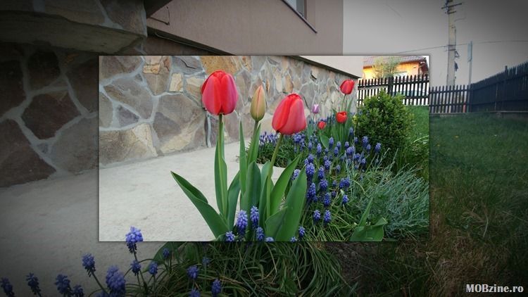 Ce este şi cum se foloseşte modul de fotografiere Popout de pe LG G5 1 camera1.jpg