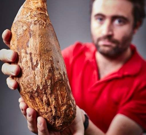 Ce dinte ENORM!!! 1 dinte.jpg