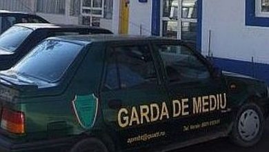 gardademediu.jpg