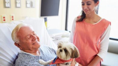 hospital-pets-allowed-animal-therapy-zacharys-paws-for-heali