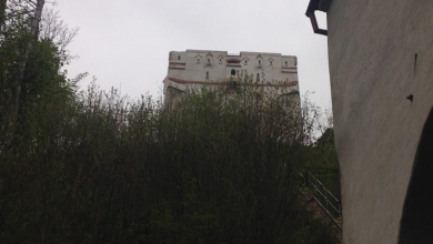 img-0768.jpg