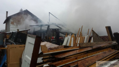 incendiu sanpetru 2_209393.jpg