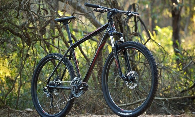 BRAȘOV. Proiectul tehnic pentru realizarea pistelor de mountain bike în Poiana Braşov este încă în lucru 1 mountainbike_2.jpg