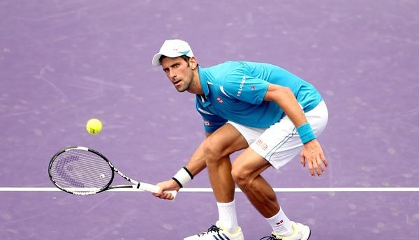 nole2_2.jpg