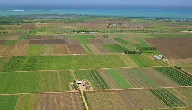 AFIR. Finanțări de peste 541 milioane de euro, pentru agricultură și dezvoltare rurală 1 pamant8.jpg