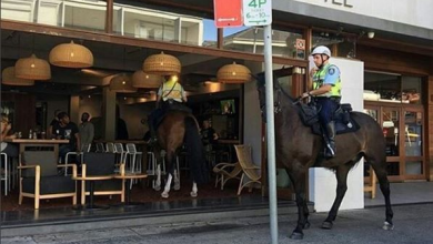 police-horse-bar.jpg
