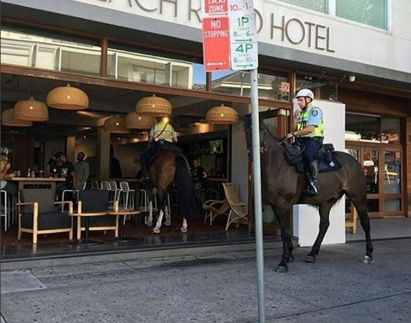 police-horse-bar.jpg