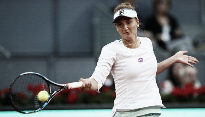 begu_8.jpg