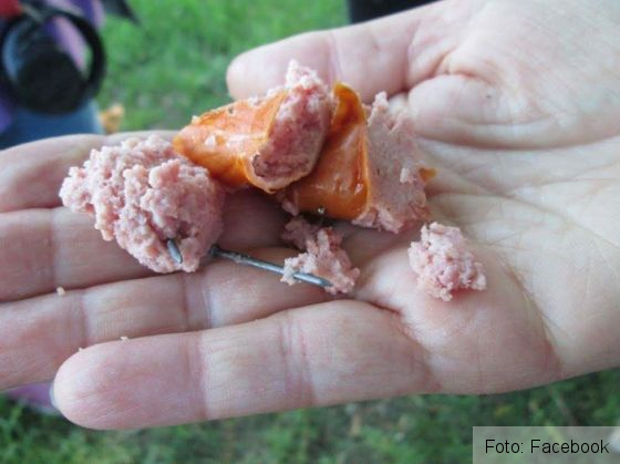 Cârnaţi cu cuie, lăsaţi momeală în zona IOR din Capitală! Iubitorii de animale sunt indignaţi (FOTO) 1 carnati cuie_212131.jpg