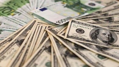 eurosidolarul11.jpg