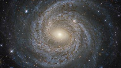 galaxiespiralat.jpg