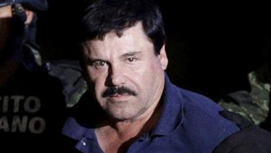 guzman.jpg