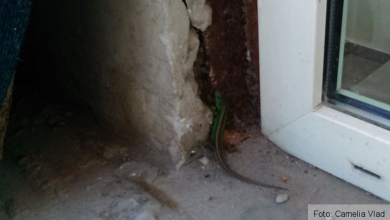 img-20160531-140547.jpg