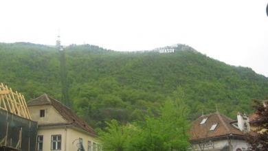img-8737.jpg