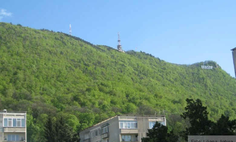 BRAŞOV. Potecă tematică pentru fluturii şi flora de pe Tâmpa 1 img-8898.jpg