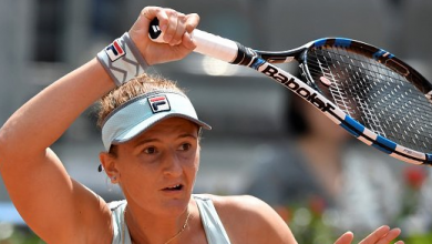 iribegu.png