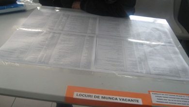 locuridemunca_4.jpg