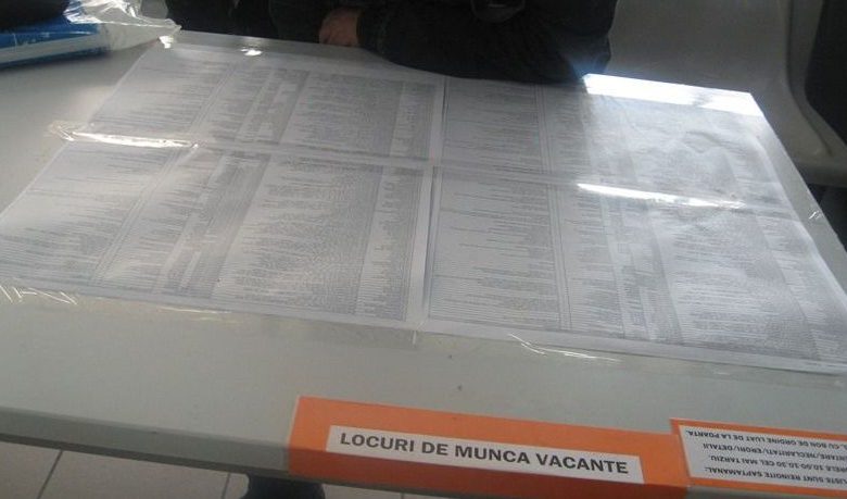 locuridemunca_4.jpg
