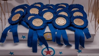 România are reprezentant în cel mai mare for european pentru copiii supradotaţi 7 medalii_2.jpg