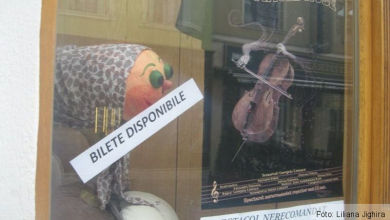 metamorfoze.jpg