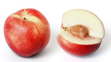nectarine.jpg