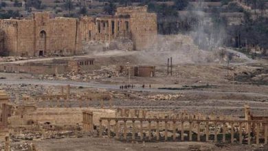 palmyra_3.jpg