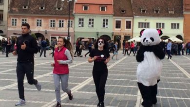 pandalie.jpg