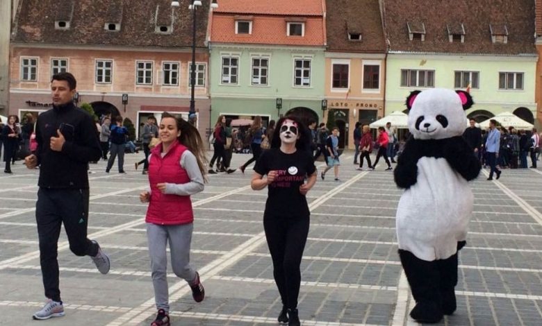 MARATONUL INTERNAȚIONAL BRAȘOV. Pandalie și Iulian Miu își caută echipă!!! Galerie foto... 1 pandalie.jpg