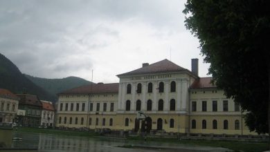 saguna_4.jpg