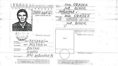 teszari_2.jpg