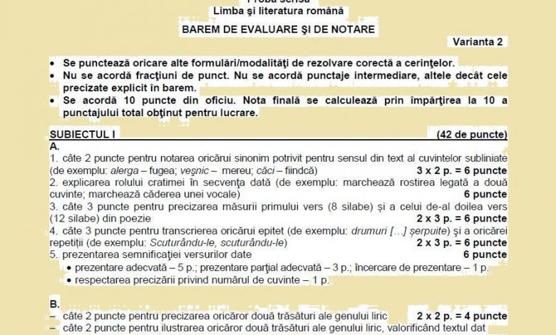 baremromana_2.jpg