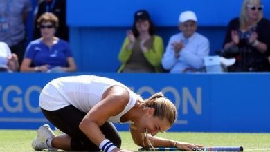 dominikacibulkova.jpg