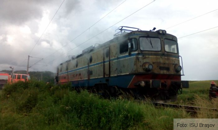 foc3_214590.jpg