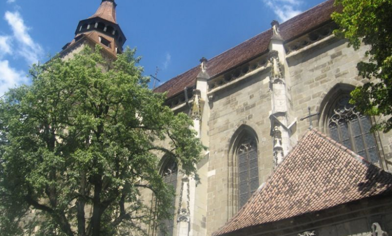 img-0916.jpg